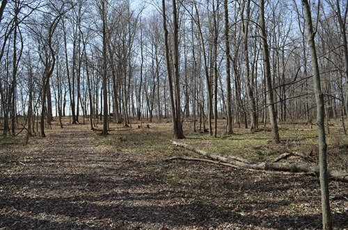 Property photo 125 - REAL ESTATE & PERSONAL PROPERTY AUCTION, 140 Acres offered in 8 Tracts or Combinations in Steuben County